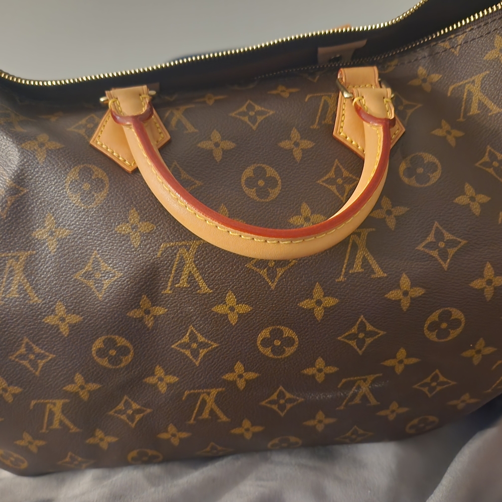 Louis Vuitton Monogram Canvas Handbag
